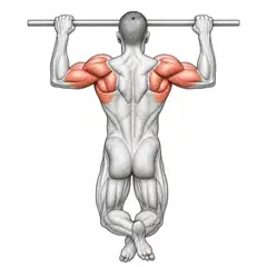 Pull-up, male